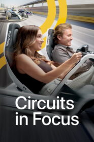 Circuits in Focus