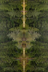 Mirrorpond
