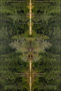 Mirrorpond