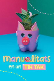 Manualitats en un tik tak