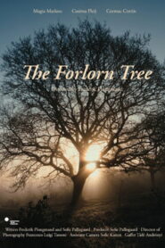 The Forlorn Tree