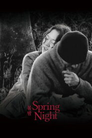 Spring Night