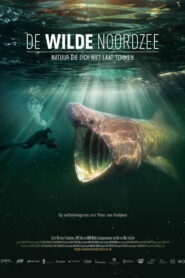 North See – Nature Untamed