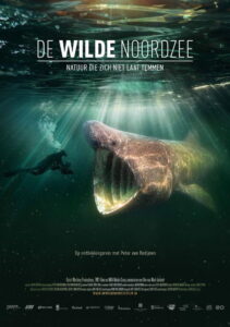 North See – Nature Untamed