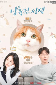 O’PENing: The Catstody War