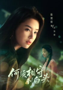 何须相守到白头: Season 1