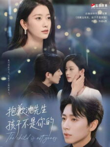 抱歉沈先生，孩子不是你的: Season 1