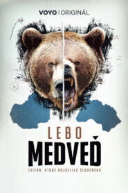 Lebo medveď