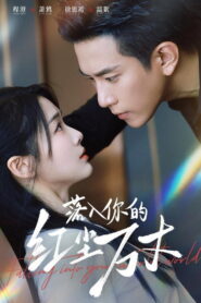 落入你的红尘万丈
