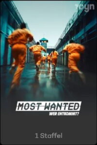 Most Wanted – Wer entkommt?: Season 1