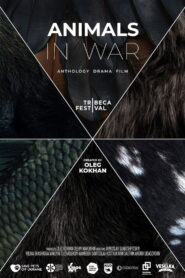Animals in War