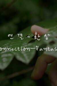 Connection—Fantasy