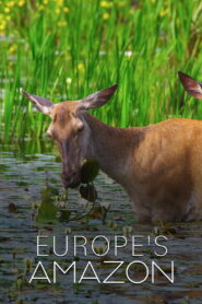Europe’s Amazon
