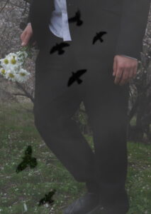 When Birds Fly