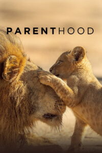Parenthood: Season 1