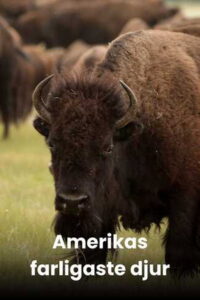 America’s Deadliest