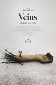 Veins