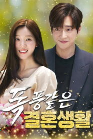 폭풍같은 결혼생활