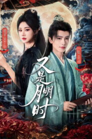 又是月明时
