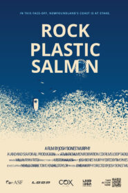 Rock Plastic Salmon