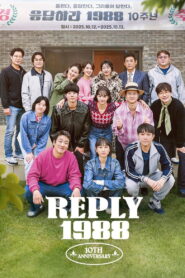 Reply 1988 10th Anniversary