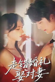 走错婚礼娶对妻