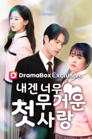 내겐 너무 무거운 첫사랑