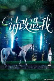 请改造我