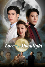 Love in the Moonlight