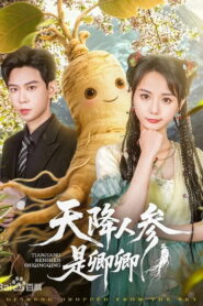 天降人参是卿卿