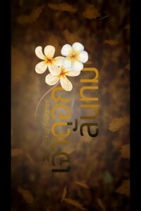 Beloved Frangipani