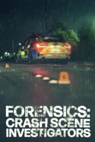 Forensics: Crash Scene Investigators