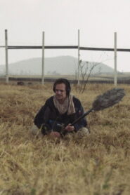 An Open Field