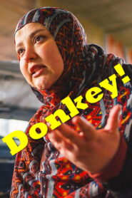 Donkey