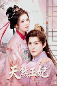 天煞王妃: Season 1