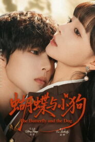 蝴蝶与小狗