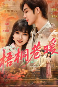 梧桐巷暖