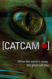 Cat Cam