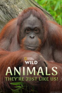 Animals, They’re Just Like Us!