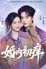 婚内初痒