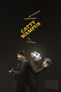 Cattywampus