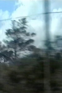 Through the Window