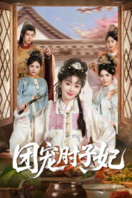 团宠肘子妃