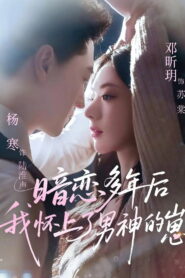暗恋多年后我怀上了男神的崽