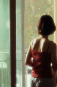 Afternoon Guest