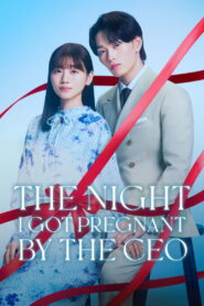 The Night I Got Pregnant By the CEO